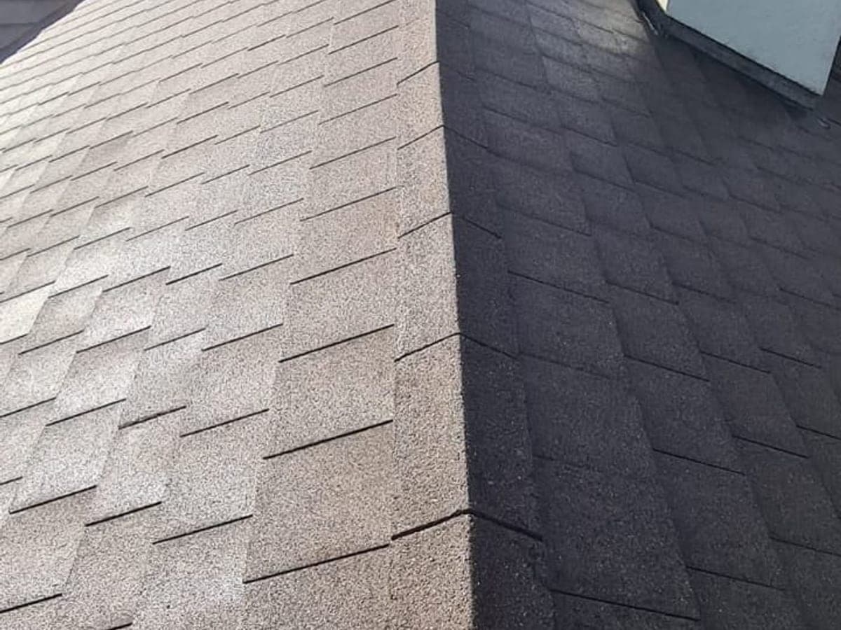 Roof tiles buried under thick moss, and the same roof soft washed back to clean tile