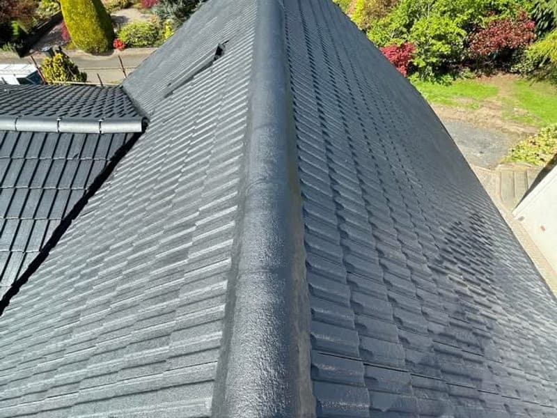 Tiled roof ridge freshly painted, seen from above