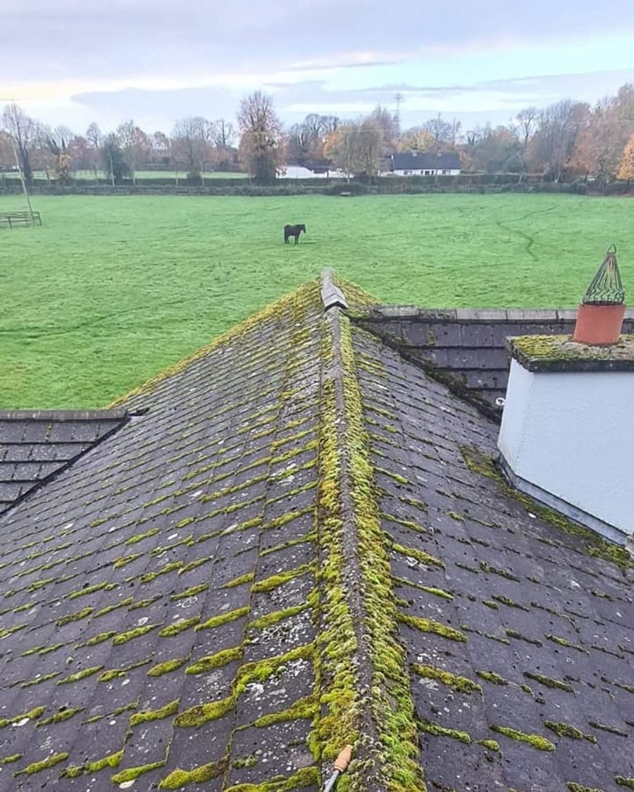 Operator soft washing a tiled roof from a ladder